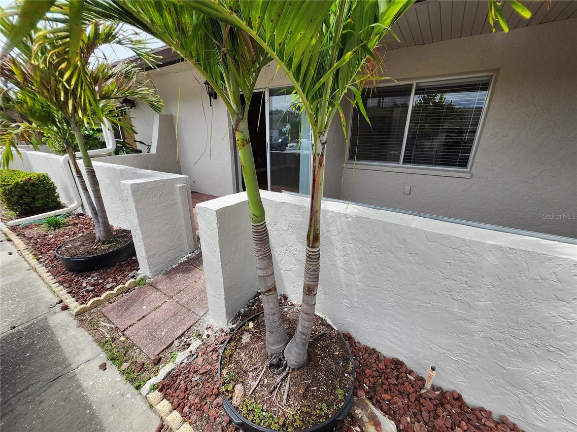 1513 16th Cir. #43, Largo, FL 33771