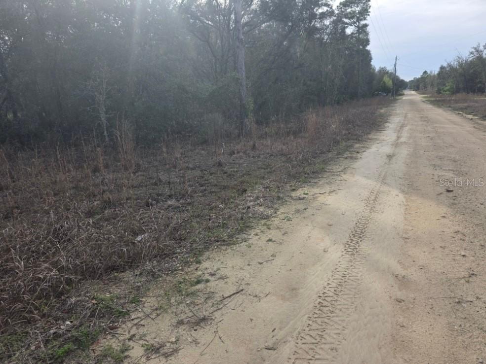 NE 60 Pl., Bronson, FL 32621