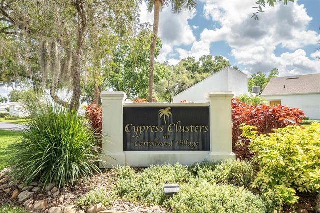New Homes For Sale This Week That Attend Chamberlain High School: May 22nd to May 28th