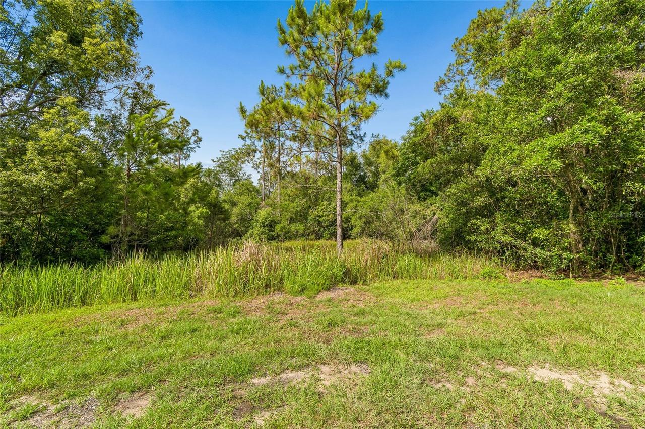 00 Hamrich Dr., Dade City, FL 33525