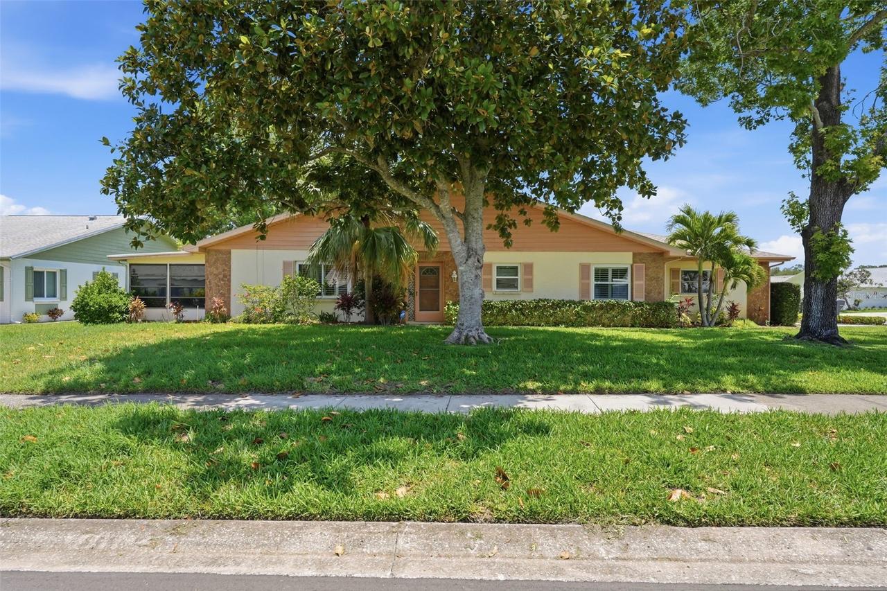 3251 Mcmath Dr., Palm Harbor, FL 34684