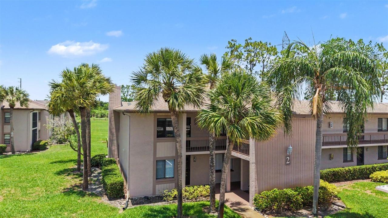 202 Mary Dr., Oldsmar, FL 34677