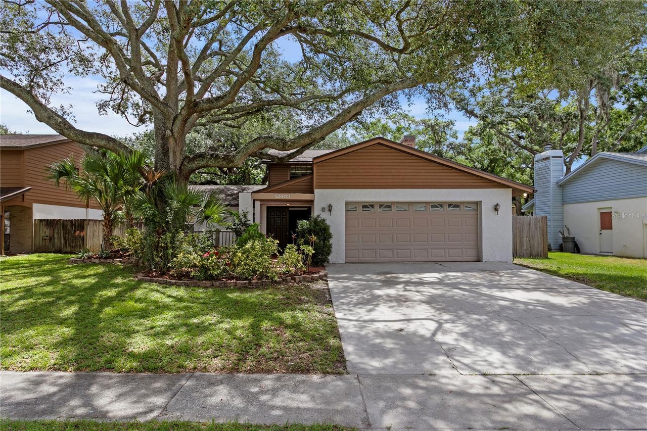 12603 Rain Forest St., Temple Terrace, FL 33617