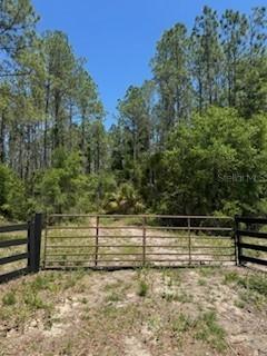 Ne Hwy 353, Old Town, FL 32680