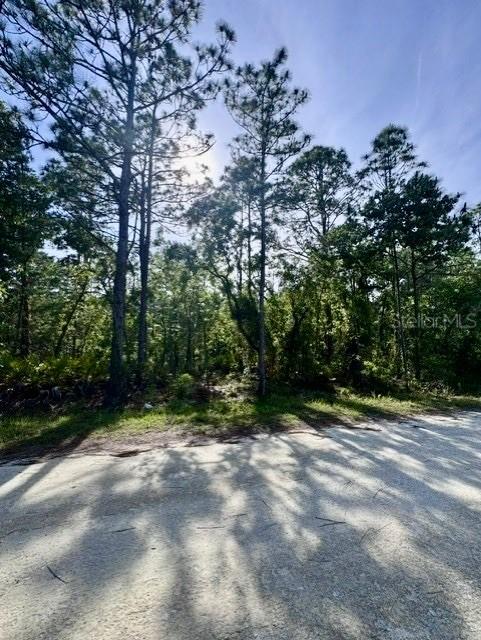 Macek Rd., Weeki Wachee, FL 34614