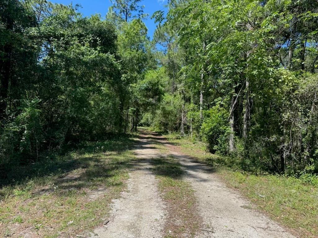 Citadel Dr., Webster, FL 33597