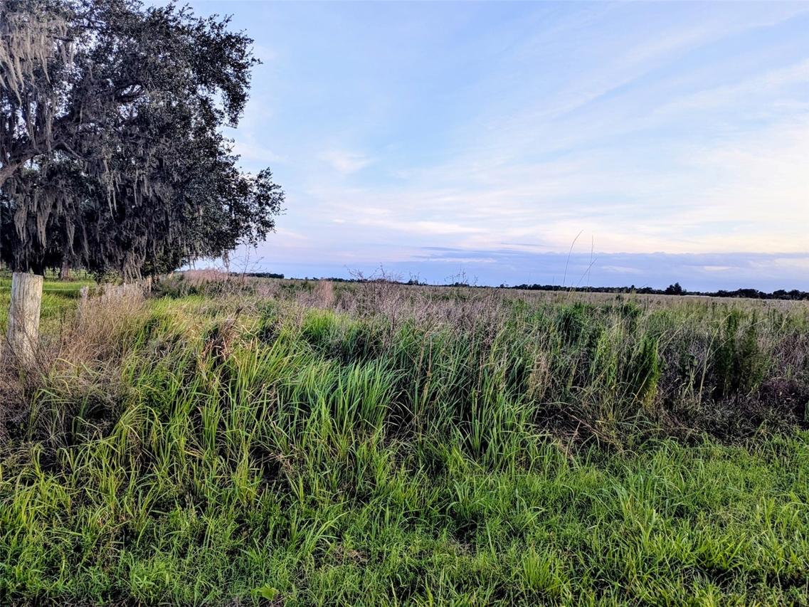 Tom Bryan Rd, Zolfo Springs, FL 33890