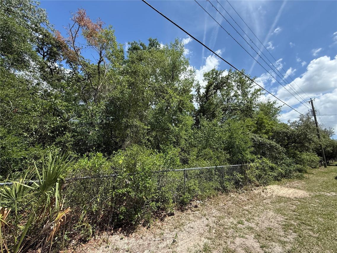 11748 Turkey Ln., New Port Richey, FL 34654