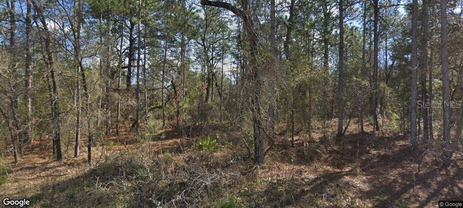 14390 English Sparrow Rd., Weeki Wachee, FL 34614