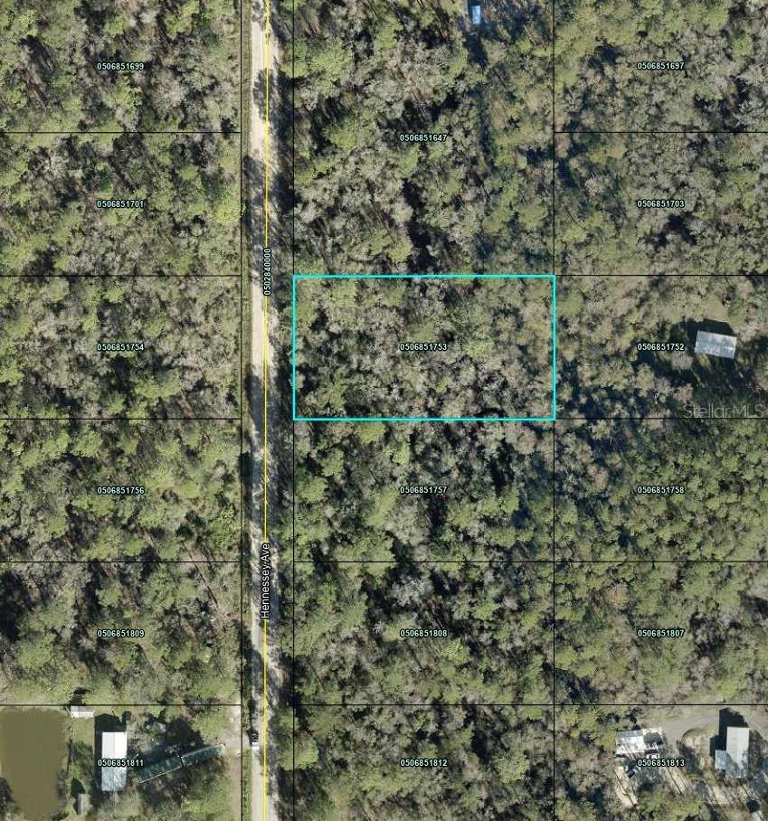 10690 Hennessey Ave., Hastings, FL 32145
