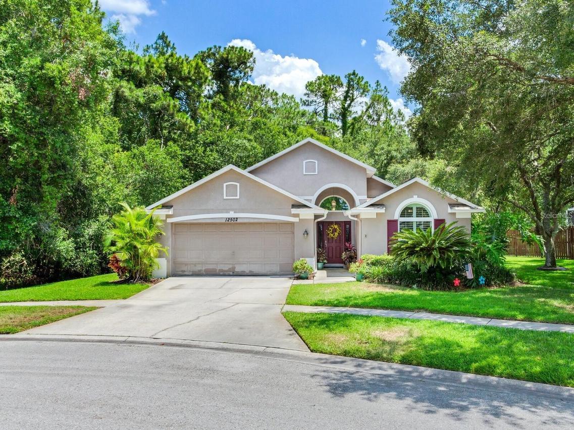 12502 Blazing Star Dr., Tampa, FL 33626