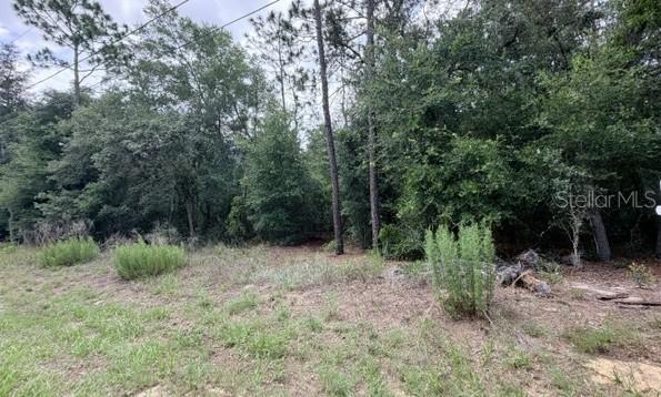 3223 E Scofield St, Inverness, FL 34453