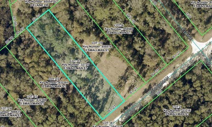 Smallman St., Webster, FL 33597