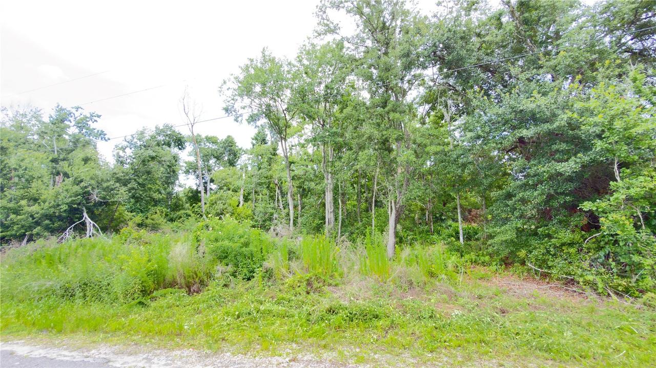 7402 Land Dr., Wesley Chapel, FL 33545