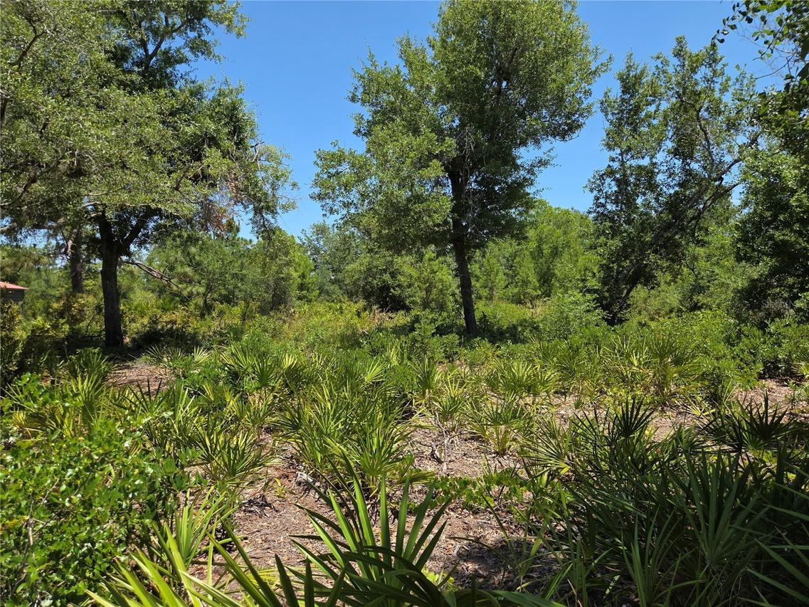 33410 Washington Loop Rd., Punta Gorda, FL 33982