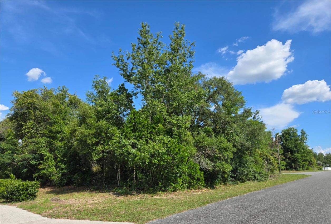 TBD Marion Oaks Dr., Ocala, FL 34473
