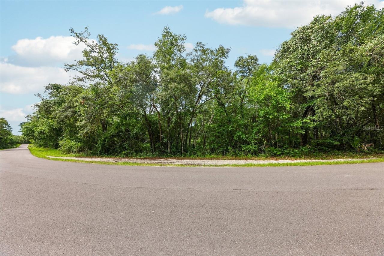 33340 Tombstone St, Webster, FL 33597
