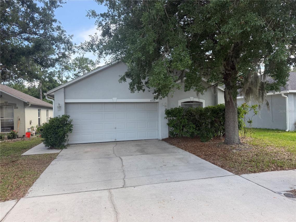 6529 Tabogi Tr., Wesley Chapel, FL 33545