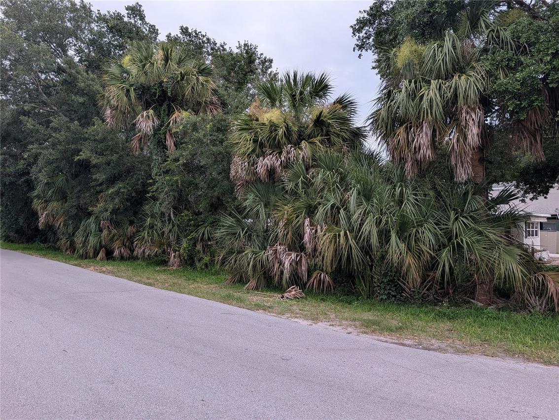 [Address Hidden by Seller], Weeki Wachee, FL 34607