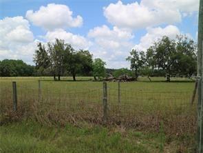 11819 Tarpon Springs Rd., Odessa, FL 33556