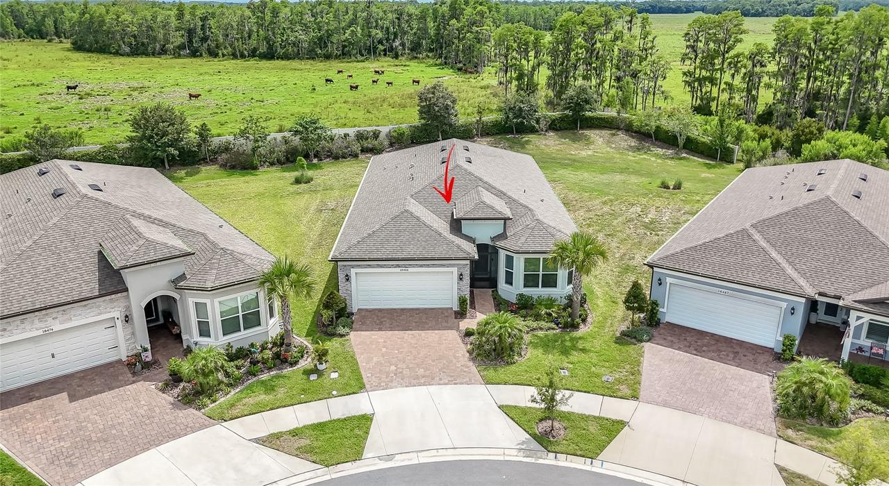 18466 Coastal Shore Ter., Land O Lakes, FL 34638