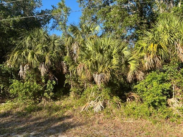 Abate Ave., North Port, FL 34288