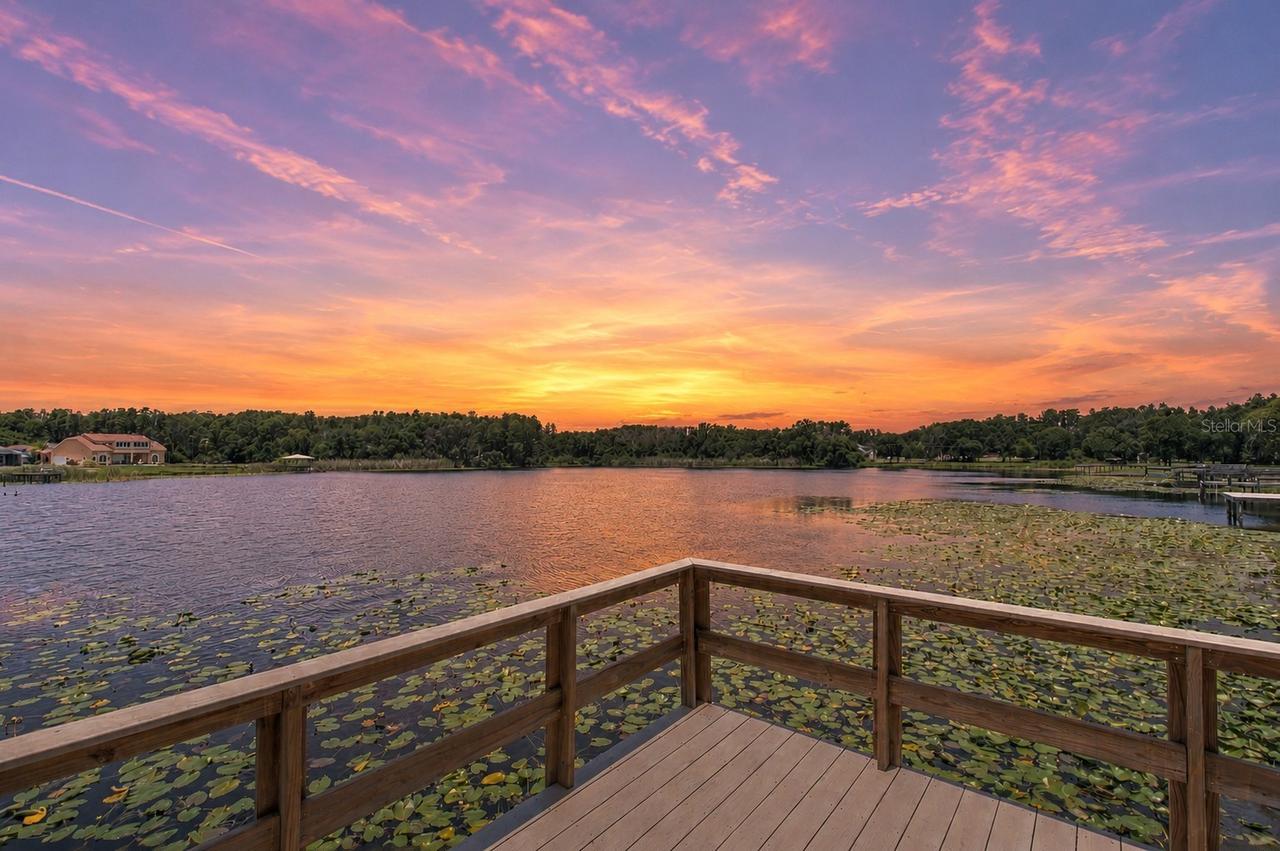 2459 Shorewood Ln., Land O Lakes, FL 34639