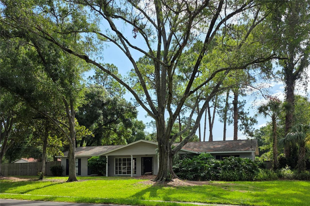 8313 Pat Blvd., Tampa, FL 33615