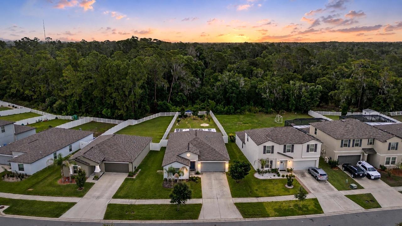 13411 Willow Bluestar Loop, Riverview, FL 33579
