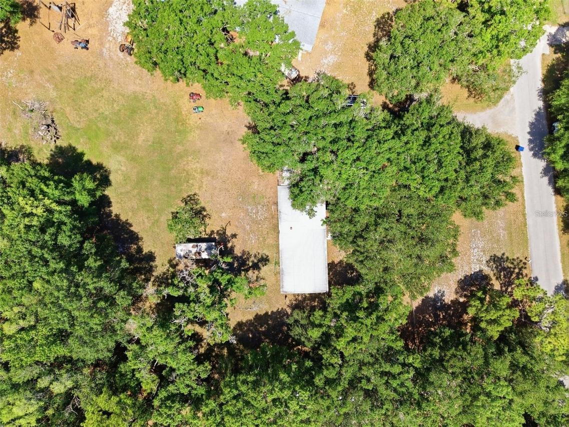 17214 Chinaberry Rd., Lutz, FL 33558