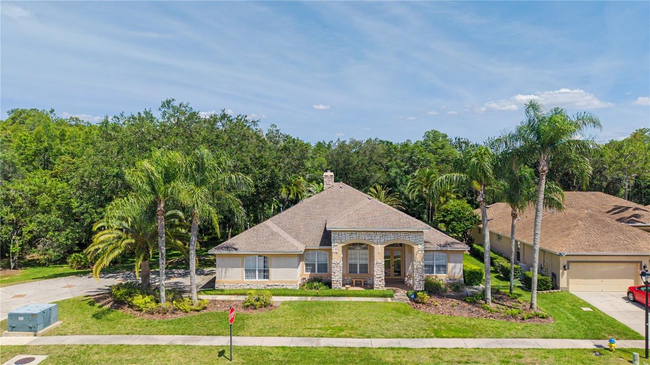 18615 Chemille Dr., Lutz, FL 33558