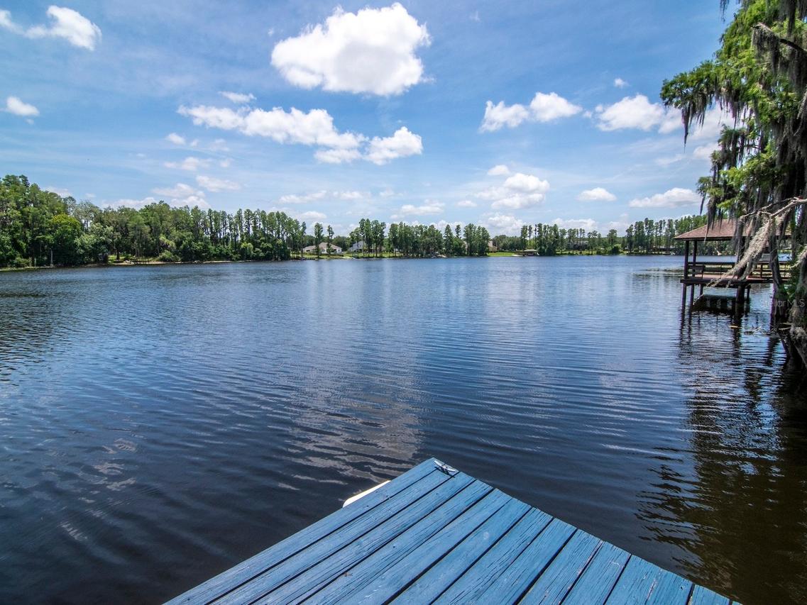 219 Willow Bend Pkwy., Lutz, FL 33549