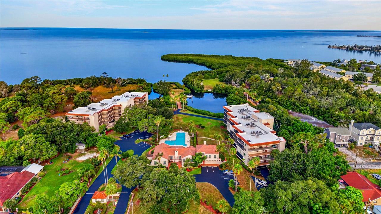 502 S Florida Ave. #124, Tarpon Springs, FL 34689