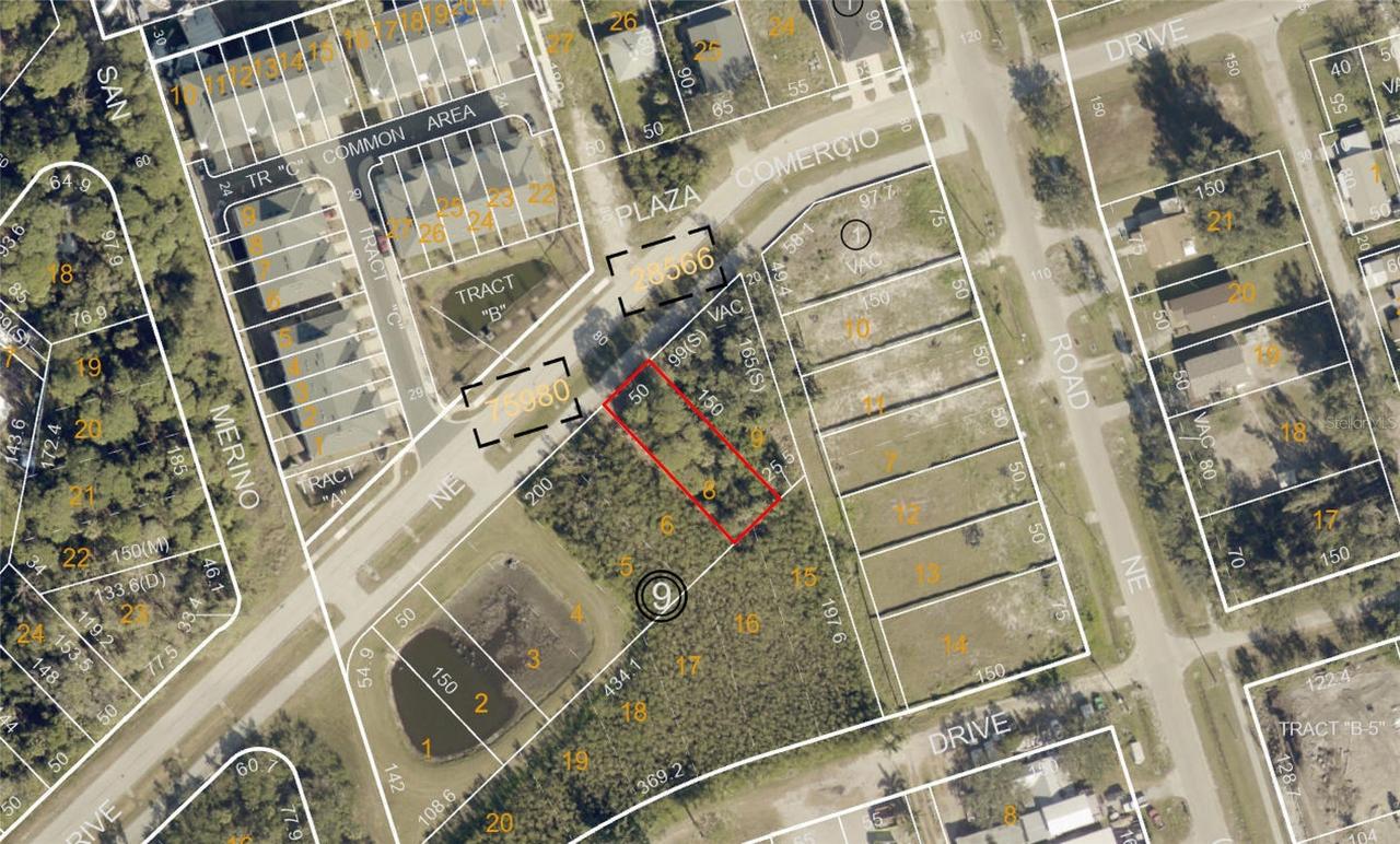 Savona Dr., St Petersburg, FL 33702