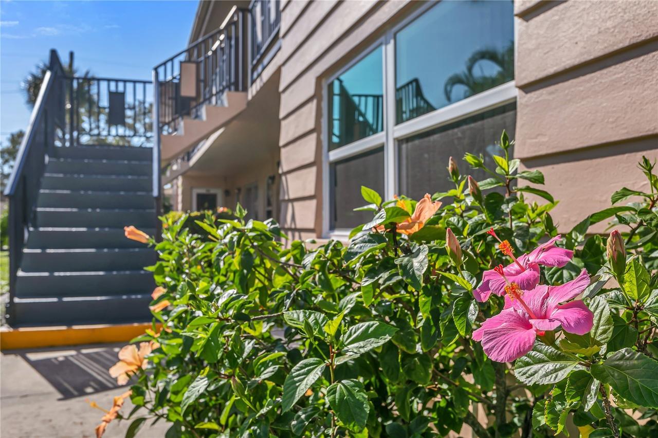 216 36th Ave. #202B, St Petersburg, FL 33704