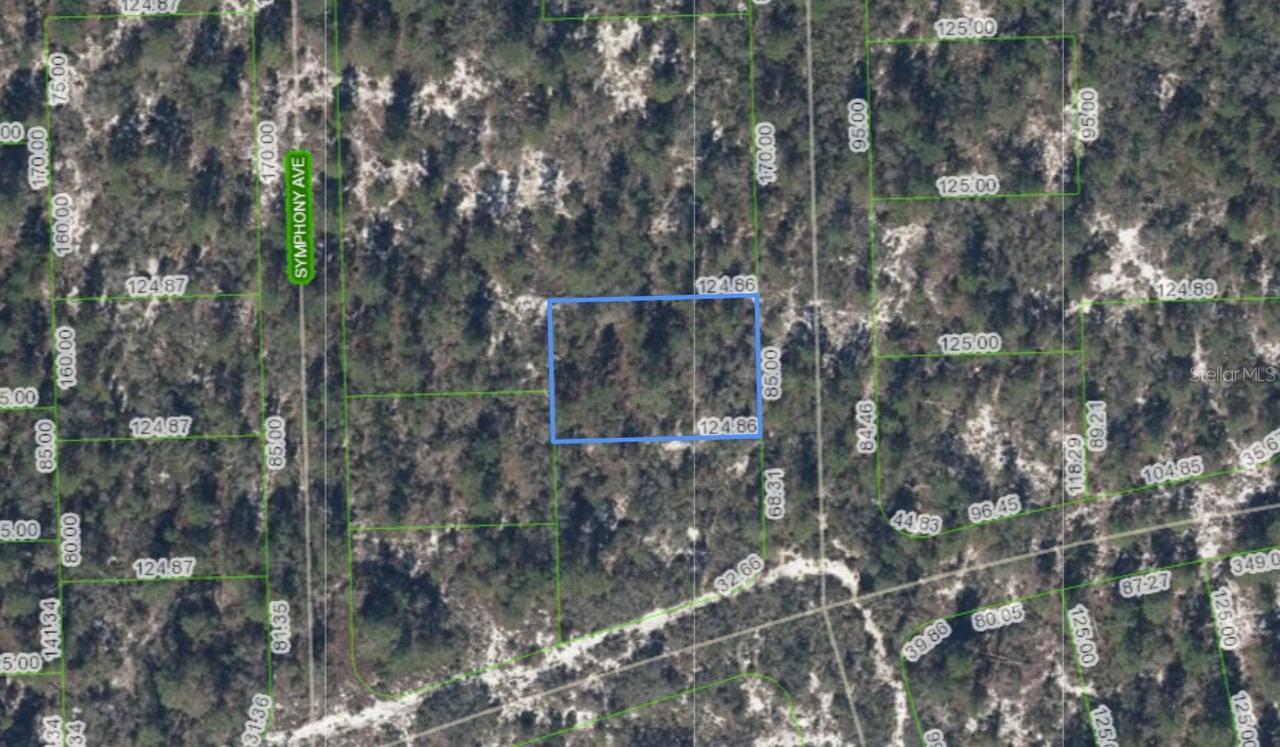 591 Blue Velvet Dr., Lake Placid, FL 33852