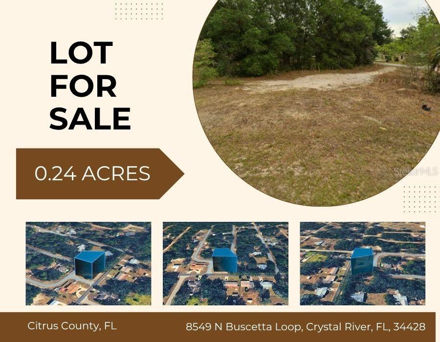 8549 N Buscetta Loop, Crystal River, FL 34428