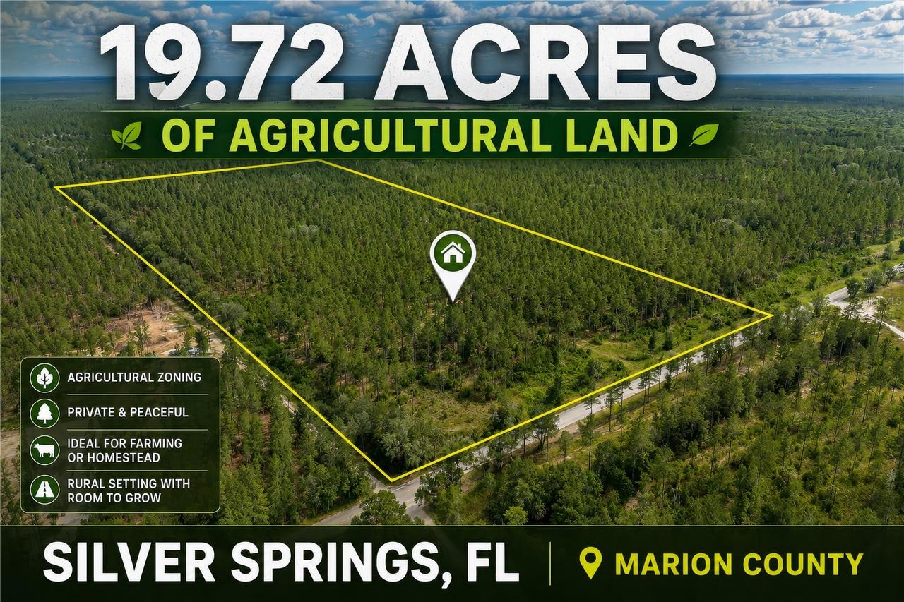 NE 90th Street Rd., Fort Mc Coy, FL 32134
