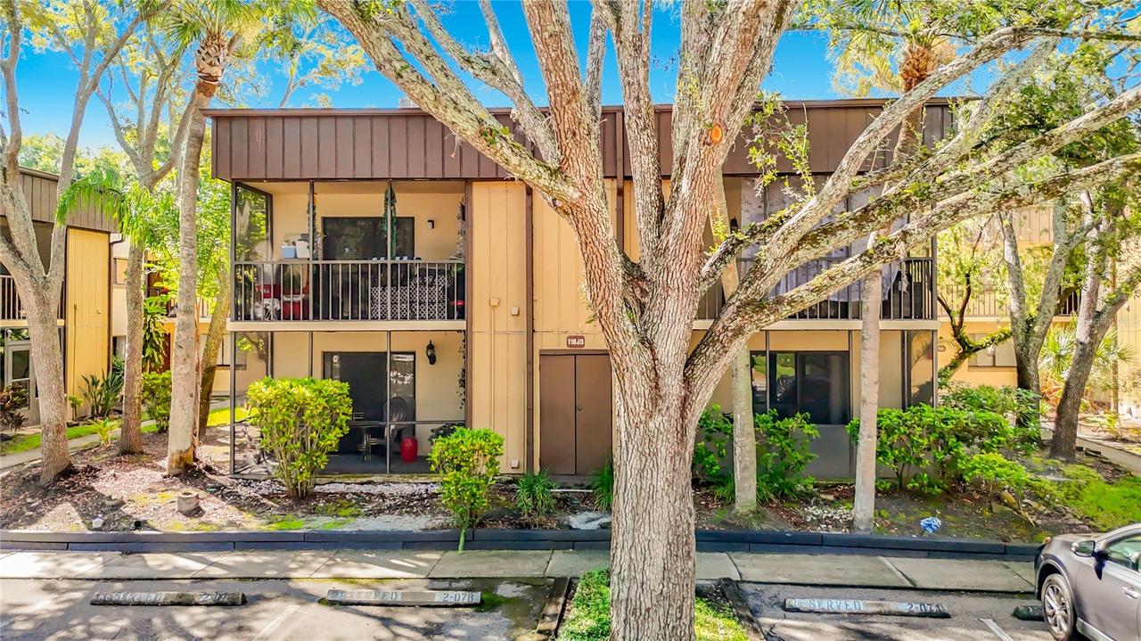 11805 Raintree Lake Ln #B, Temple Terrace, FL 33617