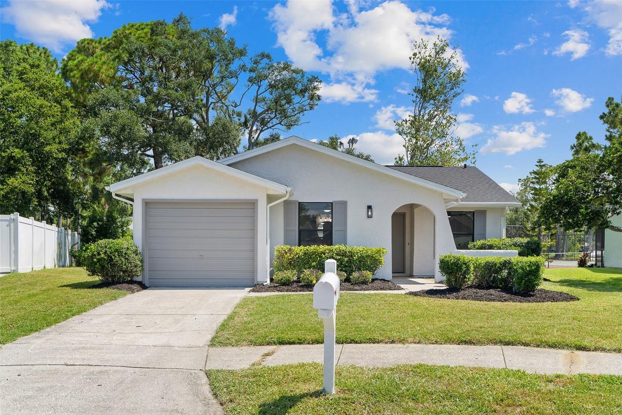 1206 Sawgrass Ct., Oldsmar, FL 34677