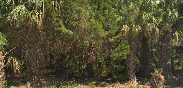 4030 S Kings Ave., Homosassa, FL 34446