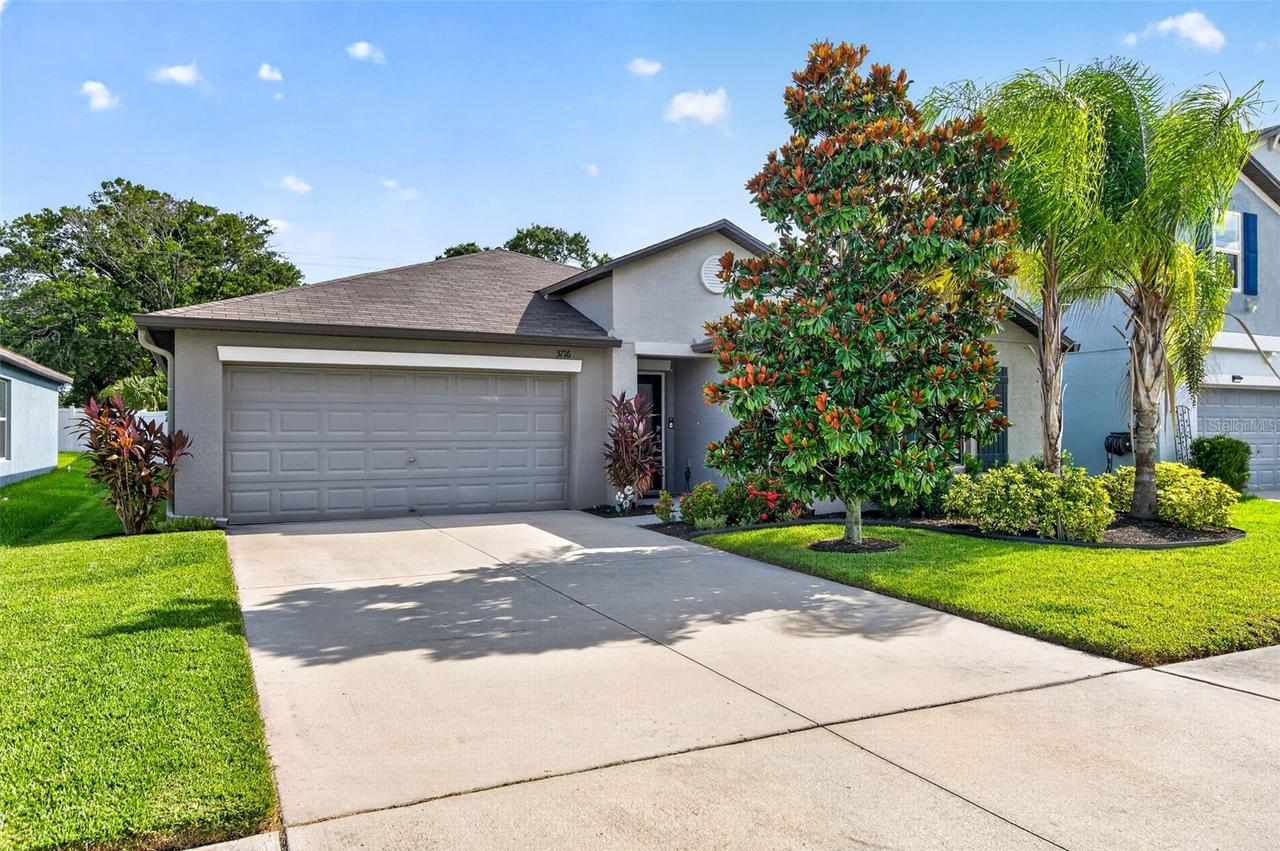 3716 Cat Mint St., Tampa, FL 33619