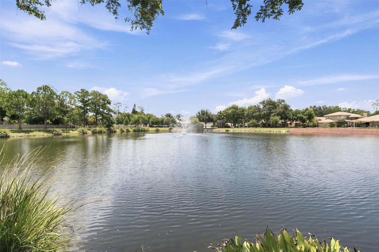 1469 Riverdale Dr., Oldsmar, FL 34677