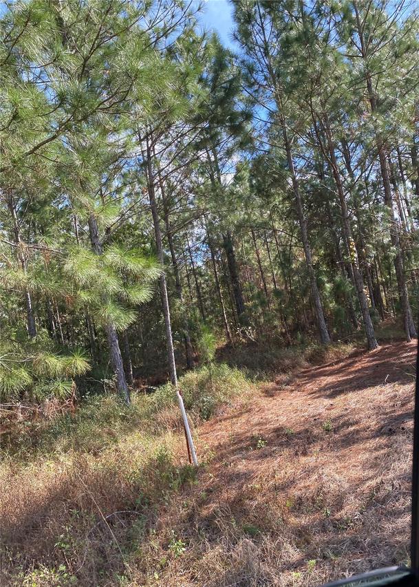 [Address Hidden by Seller], Polk City, FL 33868
