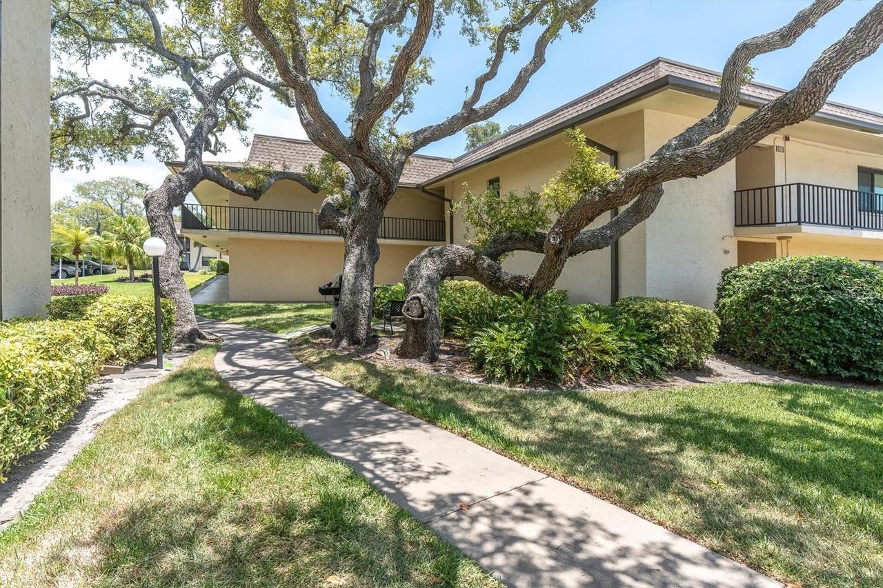 12300 Vonn Rd. #2101, Largo, FL 33774