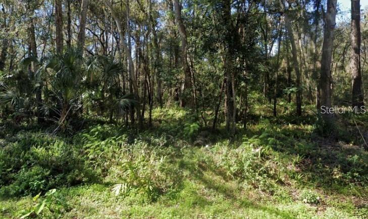 Zoller St., Brooksville, FL 34601