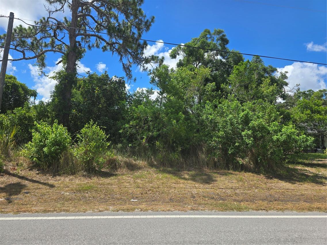 Lacey Dr., New Port Richey, FL 34654