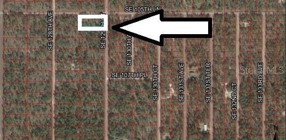 Lot 1 SE 129th Ct., Dunnellon, FL 34431