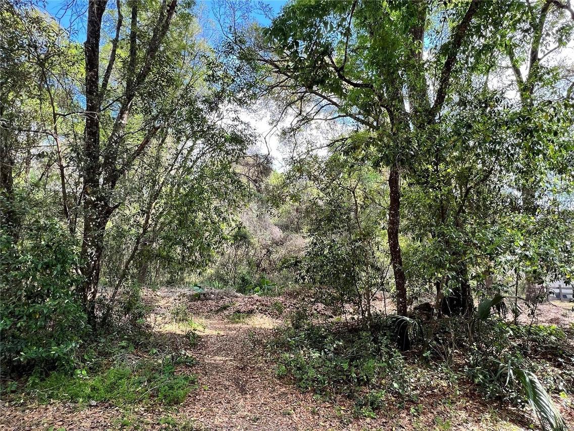 Garfield Ave., Brooksville, FL 34604