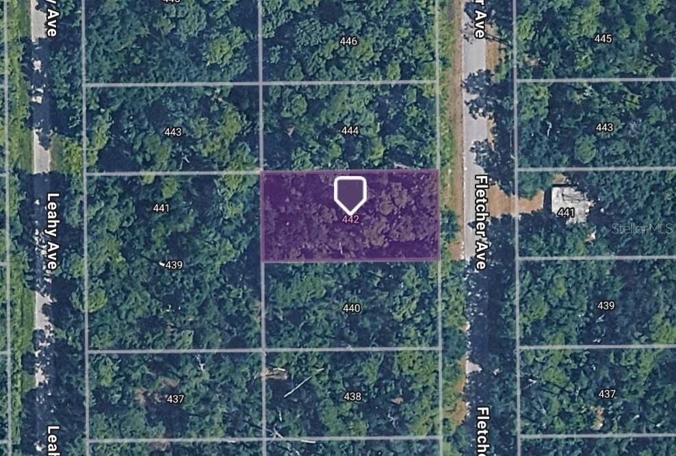 442 Fletcher Ave., Lake Placid, FL 33852